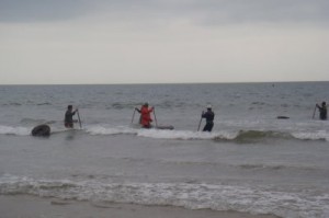 Mariscadores en la costa de Huelva.