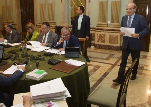 Pleno Ayuntamiento 01