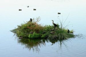 Laguna Primera de Palos.