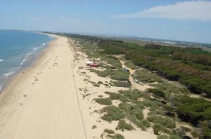 Playas de Isla Cristina.