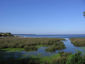 Parque Nacional de Doñana.