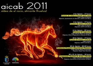 Cartel de AICAB 2011.