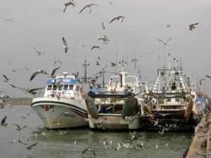 Barcos amarrados a puerto.