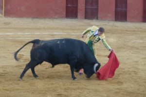 Silvera, en su corrida de despedida en Arroyomolinos.