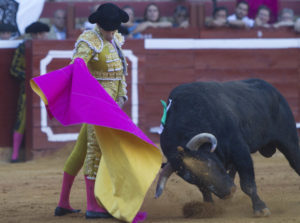 José Tomás. (Julián Pérez).