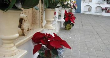 Flores de Navidad en el cementerio de La Palma