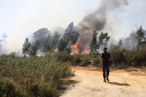 Incendio Rociana