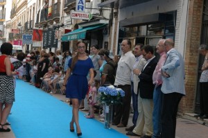 desfile 2