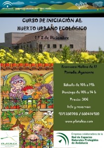 cursohuertosurbanos