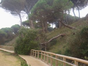 ACCESO A LA PLAYA DE ROMPECULOS