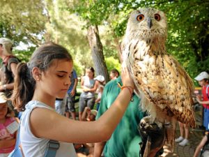 Campamento de verano.