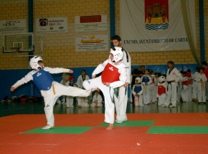 Concentración de taekwondo en Cartaya.