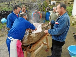 Matanza en Cala.