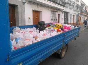 Productos recogidos en San Juan del Puerto en la campaña.