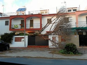 calle Mairena del Alcor.