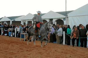 170314 FERIA CABALLO 01 BALANCE PASEO CABALLO GANADOR