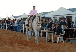 170314 FERIA CABALLO 04 BALANCE PASEO CABALLO