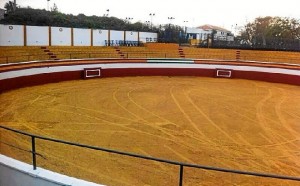 Plaza de toros de Paterna del Campo.