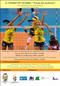 Cartel del Torneo de voleibol en San Bartolomé de la Torre.