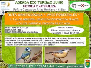 AGENDA ALAJAR JUNIO (6) (Copiar)