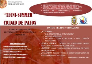 Cartel del Tecni Summer de Palos de La Frontera.