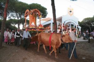 020614 BALANCE ROMERIA 01 WEB (Copiar)