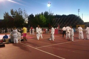 Exhibición de taekwondo en La Palma del Condado.