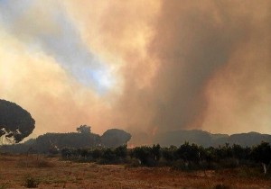 Incendio Cartaya1 (2)