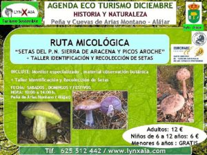 AGENDA DICIEMBRE P.N. SIERRA ARACENA Y PICOS AROCHE (3)