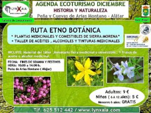 AGENDA DICIEMBRE P.N. SIERRA ARACENA Y PICOS AROCHE (4)