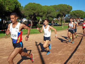 cross pinares cartaya-42