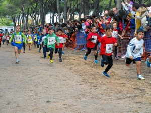 cross pinares cartaya-72