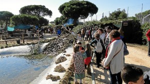 gran ambiente en la parcela de El Faro