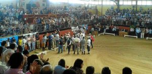 Almonte (Campeonato Doma Vaquera 2013)