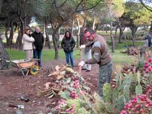 Area recreativa Cartaya