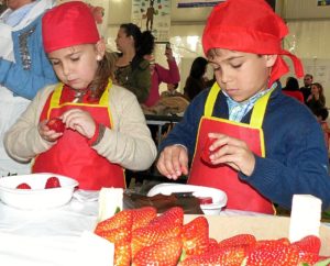 Concentrados en la tarea