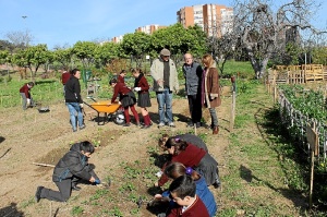 huertos escolares 1