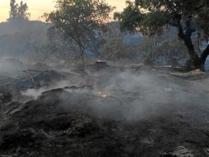 incendio Lucena3