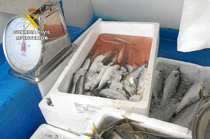 20150615 pescado ambulante CASTILLEJOS