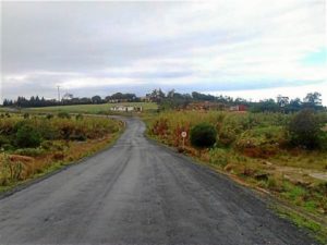 Camino rural de Castillejos (Lepe).