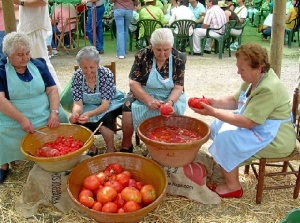 matanza vegetal en calabazares 800x600_q85