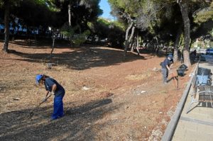 Desarrollo Local PFEA El Portil (4)