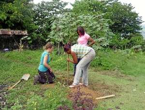 Voluntariado 2