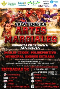 Cartel de la gala solidaria de artes marciales.