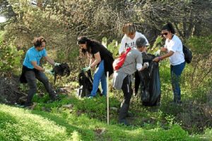 091115 LIMPIEZA PINAR cartaya 00