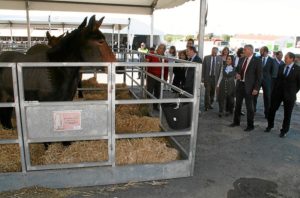 040316 INAUG FERIA CABALLO 10