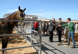 040316 INAUG FERIA CABALLO 12