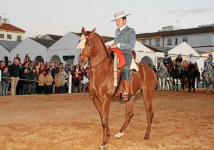 070316 FERIA CABALLO BALANCE 02