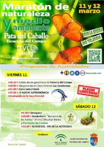 MARATON DE NATURALEZA Y MEDIO AMBIENTE