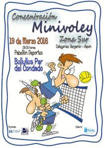 cartel minivolley